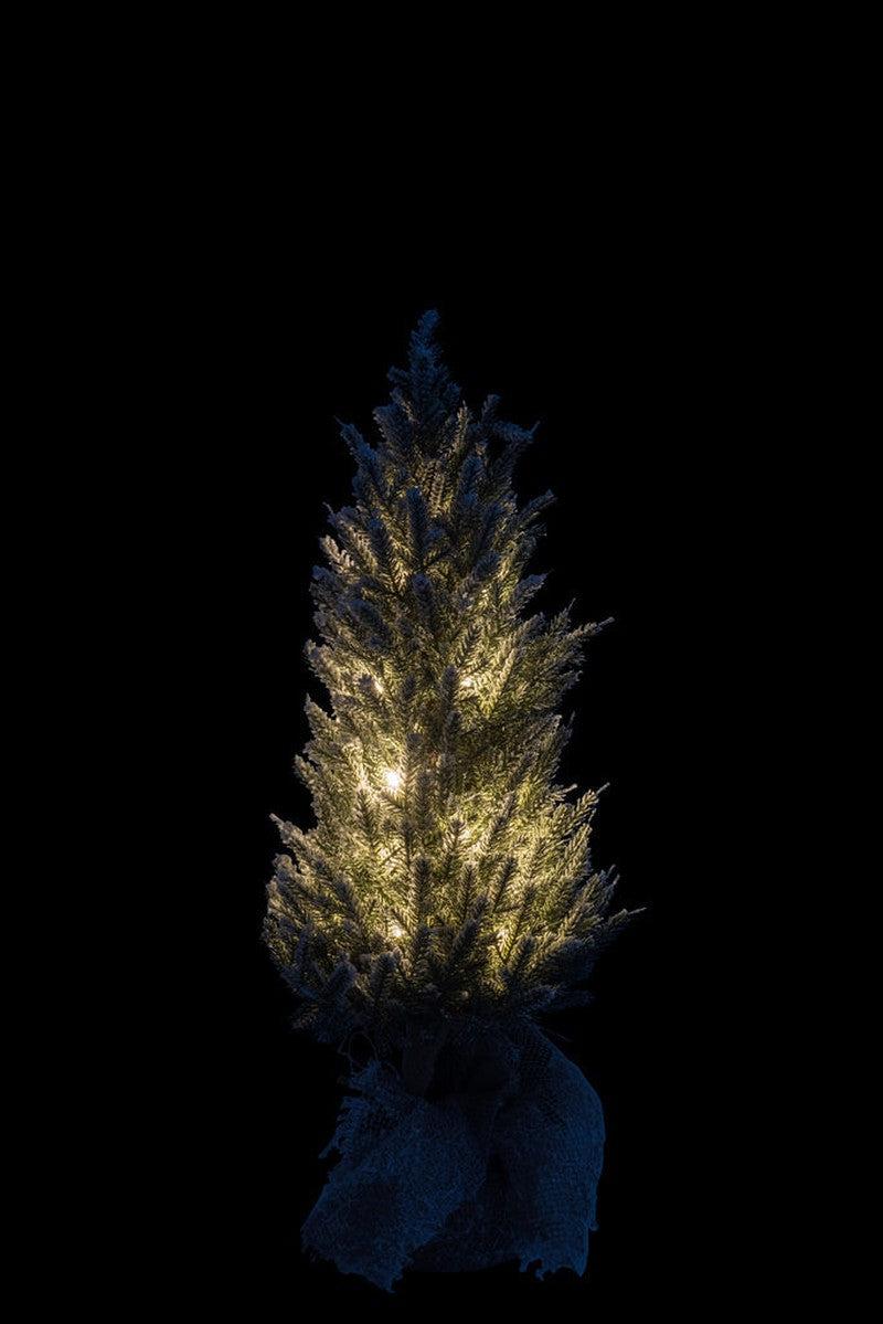 J-Line Kerstboom Met Verlichting M
