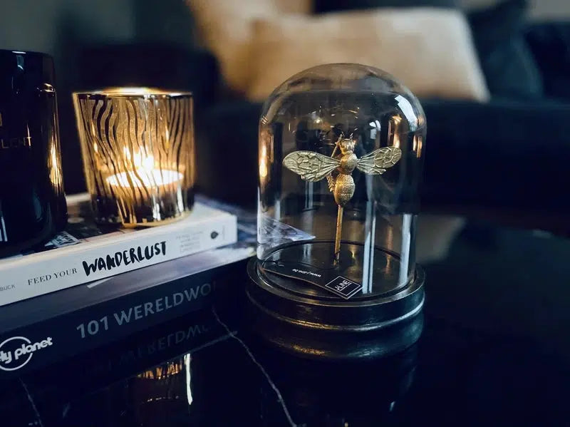 Boek Feed Your Wanderlust