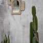 Cactus Schelpen Spiegel