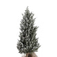J-Line Kerstboom Met Verlichting M