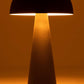 Vloerlamp Mat Zwart Xl